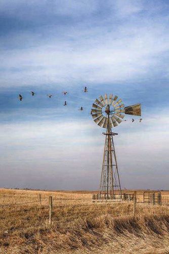 The Old-Fashioned Windmill
